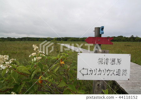 Shibetsu Wetland 44118152