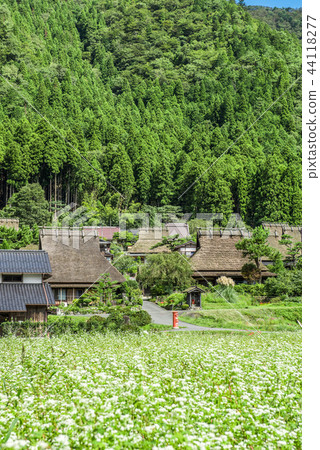 Kyoto Miyama Kayabuki no Sato Kyoto Miyama Kayabuki no Sato 44118277