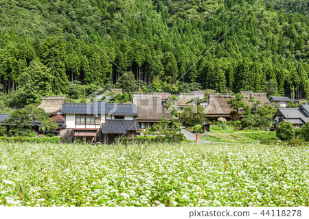 Kyoto Miyama Kayabuki no Sato 44118278