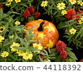 萬聖夜南瓜在花園裡 44118392