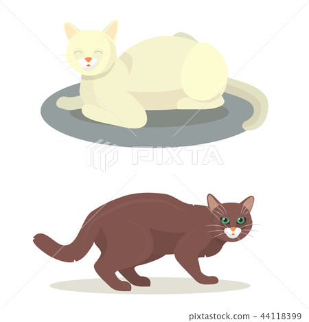 Different cat cute kitty pet cartoon cute animal cattish character set catlike illustration 44118399