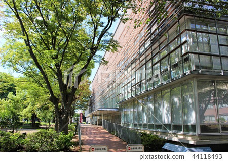 千葉大學圖書館 44118493