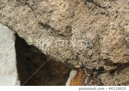 粗糙的皮膚 44118620