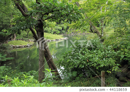 Asakusa Senso-ji Honbo Den Pond Garden Pond 44118659