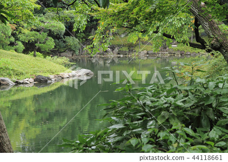 Asakusa Senso-ji Honbo Den Pond Garden Pond 44118661