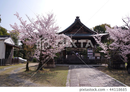 Shinnichi Yoshijingu 44118685