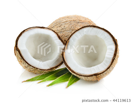coconuts with leaf isolated coconuts with leaf isolated 44119613