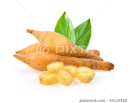Fingerroot with leaf on white background 44120588