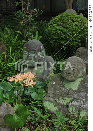 Autumn flower and Luohan statue Autumn flower and Luohan statue 44120722