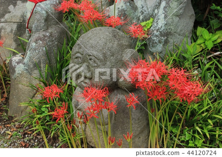 Autumn flower and Luohan statue 44120724