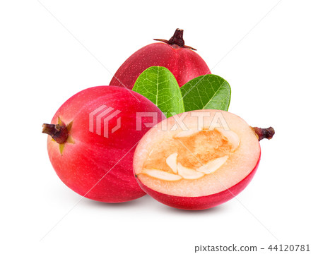 Carunda or Karonda on white background 44120781