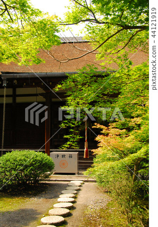 Main temple seen over Kanshuji and blue foliage 44121919
