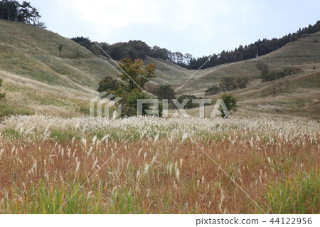 Toho Plateau Susukino Toho Plateau Susukino 44122956