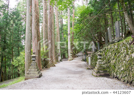 Chichibu City Mitsumine Mitsumine Shrine approach 44123607