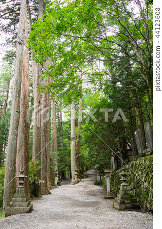 Chichibu City Mitsumine Mitsumine Shrine approach 44123608