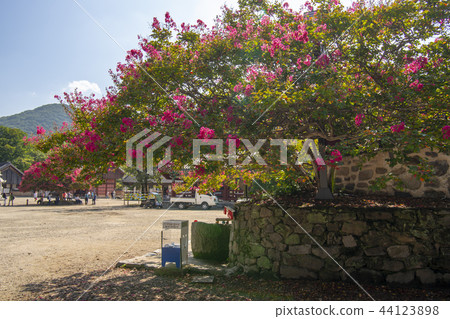 Seonunsa，Seonwoonsan，Gochang-gun，Jeonbuk 44123898