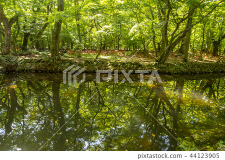 Seonunsa，Seonwoonsan，Gochang-gun，Jeonbuk 44123905