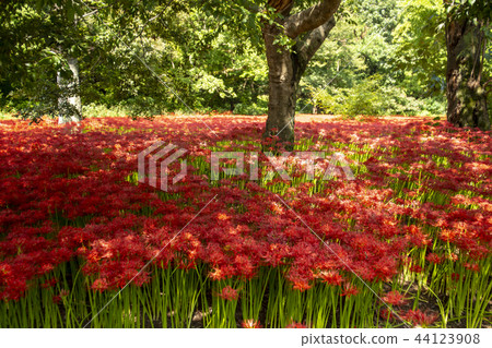 Seonunsa，Seonwoonsan，Gochang-gun，Jeonbuk 44123908