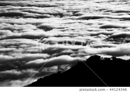 Looking at the sea 44124346