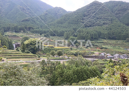 Landscape of Satoyama 44124503