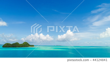 漂浮在鮮綠色海的珊瑚礁海島。帕勞。 (用無人機拍攝) 漂浮在鮮綠色海的珊瑚礁海島。帕勞。 (用無人機拍攝) 44124841