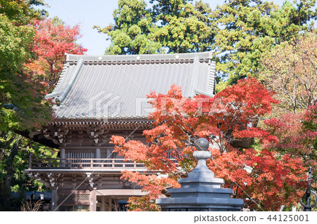 Mt. Takao Mt. Takao Yakuo-in Temple Omotesando Sanmon Fall foliage Mt. Takao Mt. Takao Yakuo-in Temple Omotesando Sanmon Fall foliage 44125001