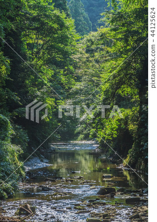 Hirofumi洞風景在夏天的Yoro谷 44125624