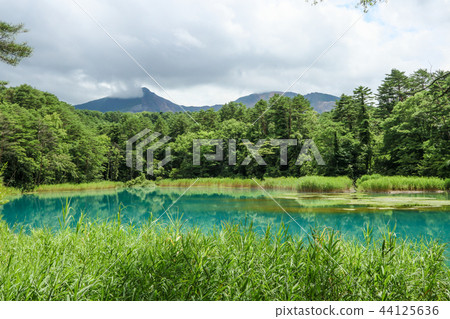 Rurinuma Goshikinuma Ura Rurinuma Goshikinuma Ura 44125636