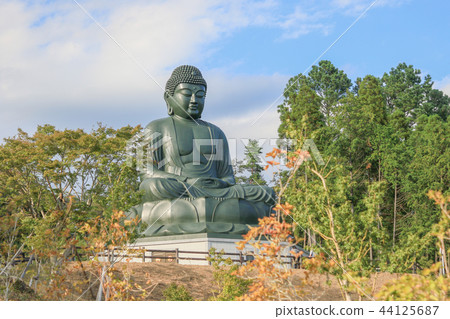Rokuya大佛早期的秋天Hinodecho Rokuya大佛早期的秋天Hinodecho 44125687