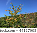 Takahara 2 44127003