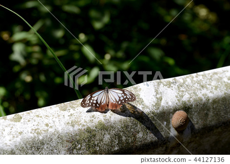 A little break 44127136