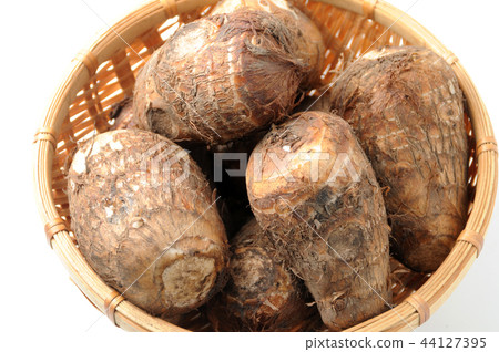 Taro Taro 44127395