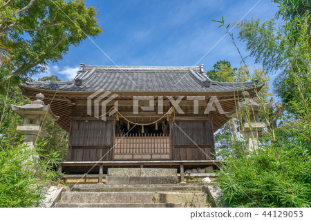 Mafukuji 247 44129053