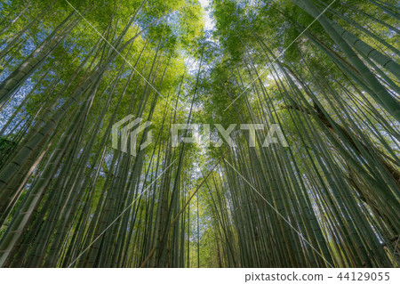 Mafukuji Temple 253 44129055