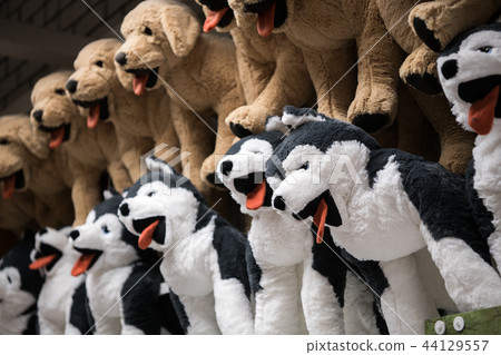 Cuddly soft toys of husky dogs from the kids shop for sale in a gift shop 44129557