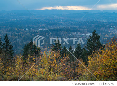 Autumn leaves in Portland, Oregon 44130970