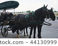 [Vienna] Carriage in front of Schoenbrunn Palace 44130999