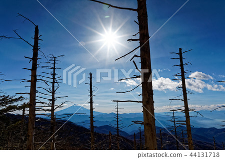 富士山從山上看到 富士山從山上看到 44131718