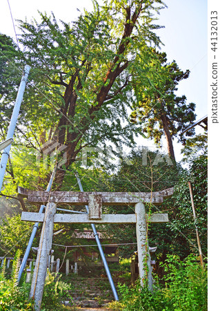 Oyamisami神社 Oyamisami神社 44132013