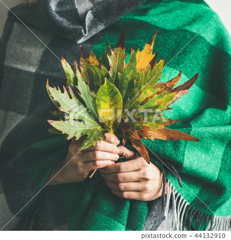 Woman in scarf or blanket with Autumn leaves, square crop Woman in scarf or blanket with Autumn leaves, square crop 44132910
