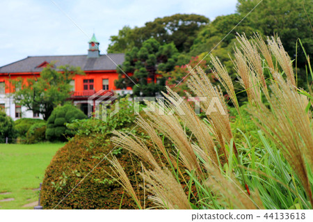 Koishikawa Botanical Garden in autumn, Susuki (September) Tokyo Bunkyo Ward 44133618
