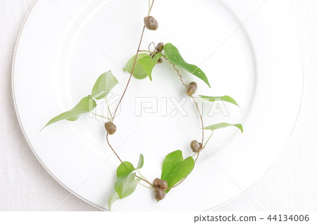 Mukago (natural potato) 44134006