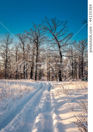 Winter snowy road in a forest on a clear day Winter snowy road in a forest on a clear day 44135364