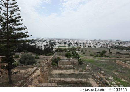 Tunisia Tunis Tunisia Tunis 44135733