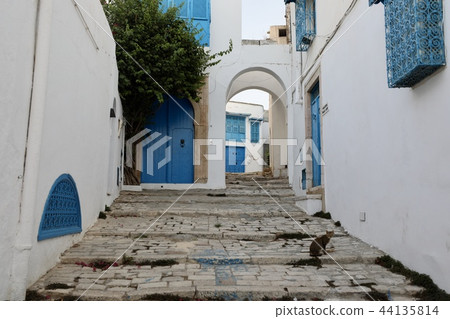 Tunisia Tunis Tunisia Tunis 44135814