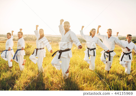 Karate class work out the stand, training in field Karate class work out the stand, training in field 44135969