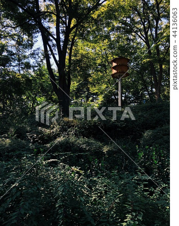 Abstract, Outdoors, Outdoor, Walking Abstract, Outdoors, Outdoor, Walking 44136063