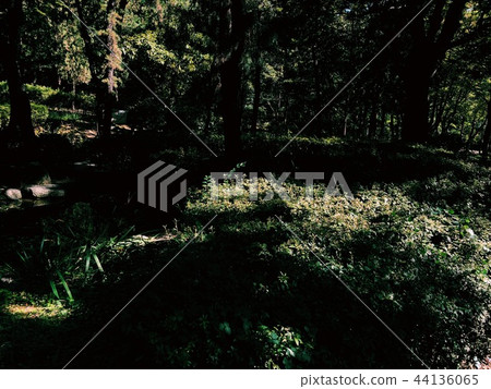 Abstract, Outdoors, Outdoor, Walking Abstract, Outdoors, Outdoor, Walking 44136065