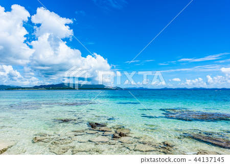 The sea of Okinawa Minnajima 44137145