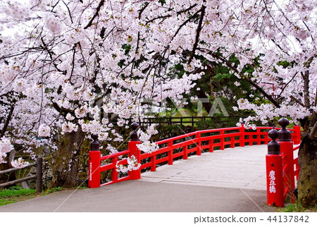 Hirosaki Castle Sakura Uchimo / Sakaioka Bridge... - Stock Photo ...